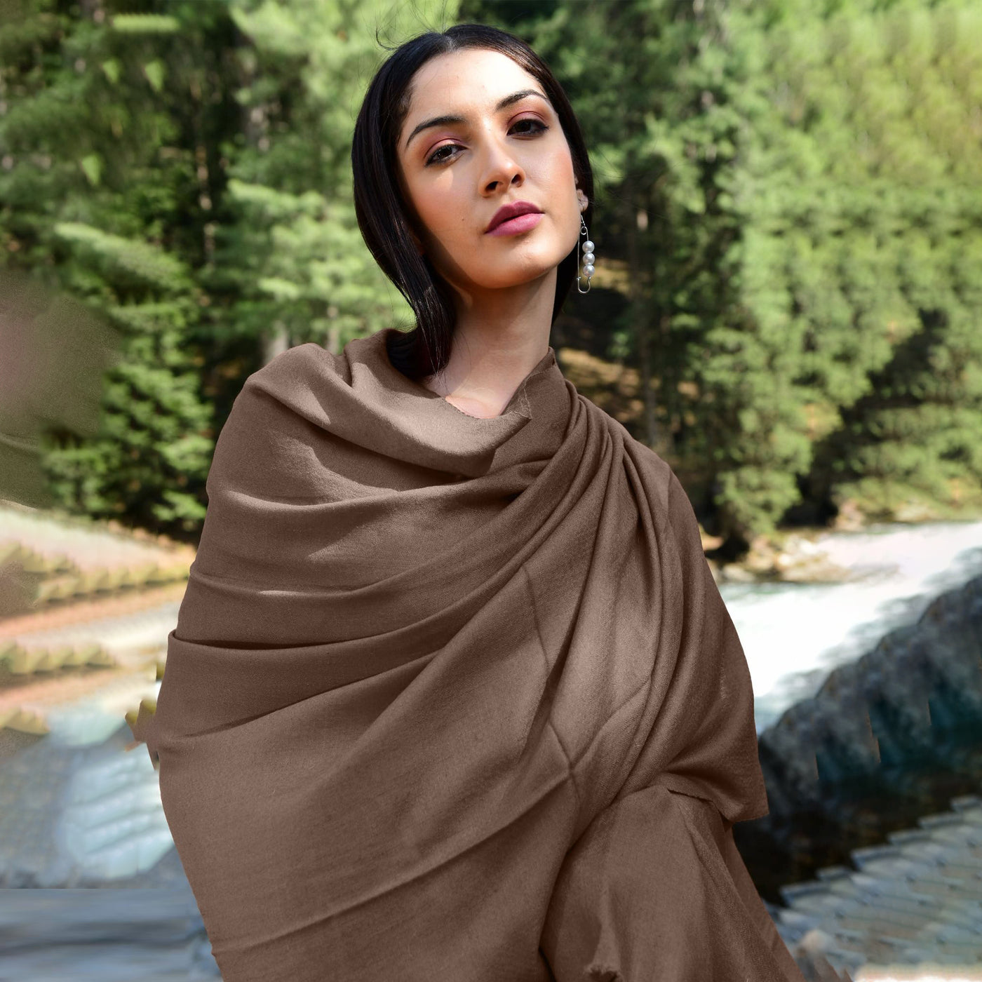 Cappuccino Brown Pashmina Shawl