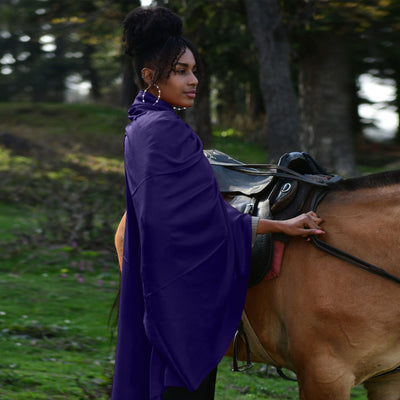 Royal Blue Pashmina Shawl