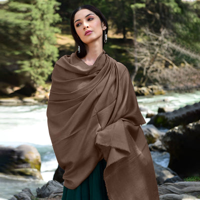 Cappuccino Brown Pashmina Shawl