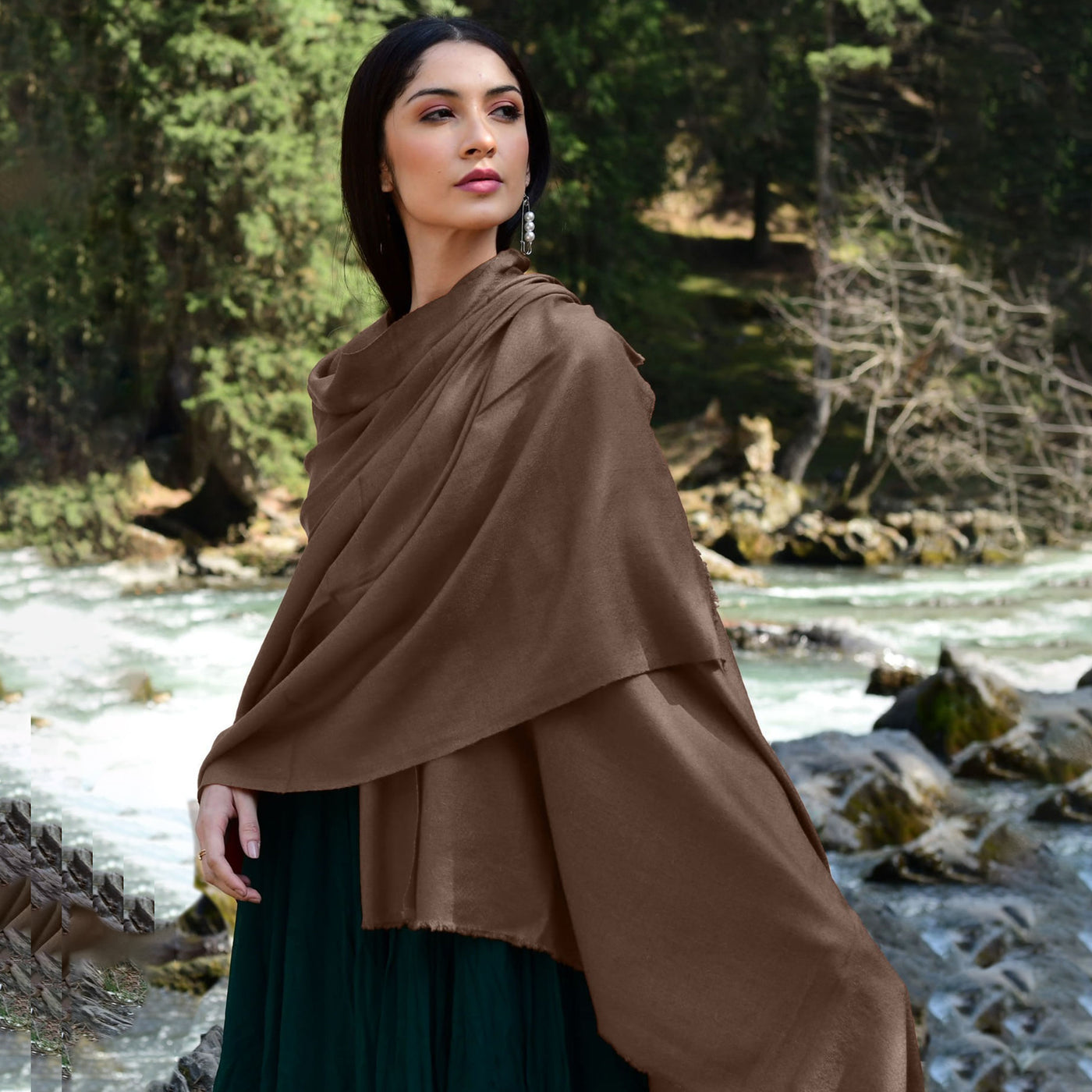 Cappuccino Brown Pashmina Shawl