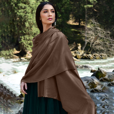 Cappuccino Brown Pashmina Shawl